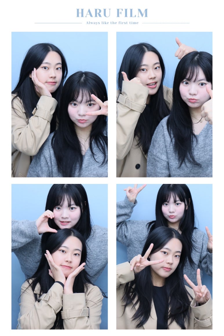 오렌지나무 이미지