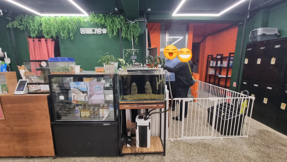 동물다방 이미지