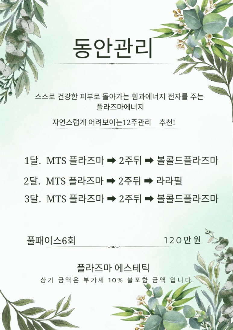 플라즈마 에스테틱 이미지