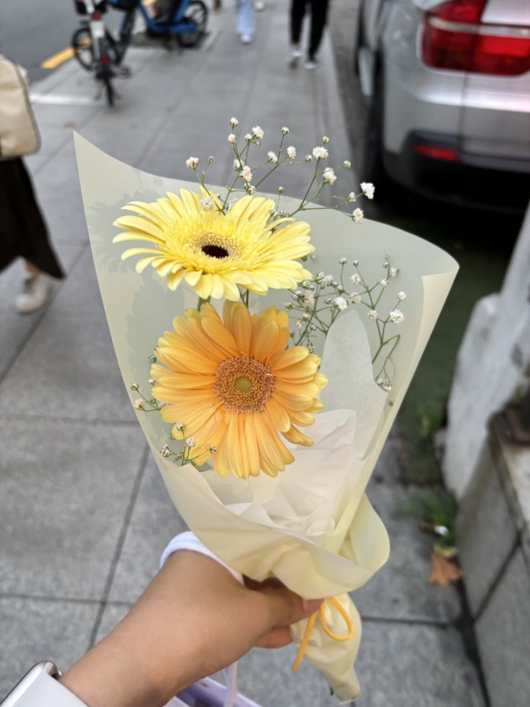 라프리마베라:봄이오다 이미지