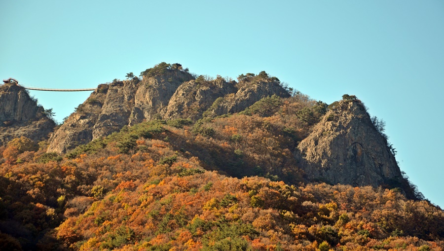 구봉산 이미지