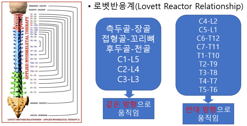 알로벳 이미지