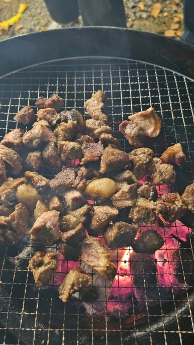 텐타우스 이미지