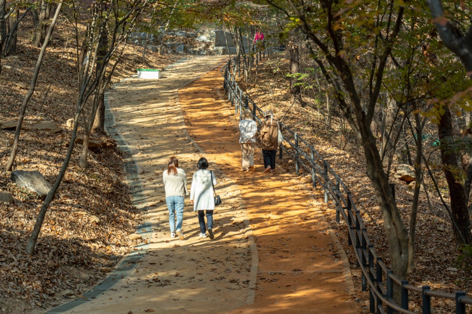 숲길발길 이미지