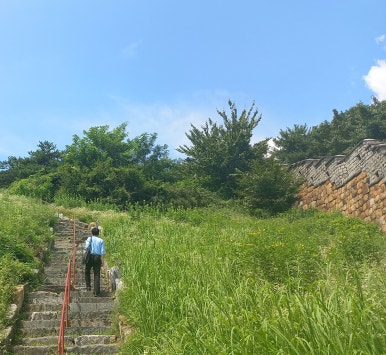 초록하다 이미지