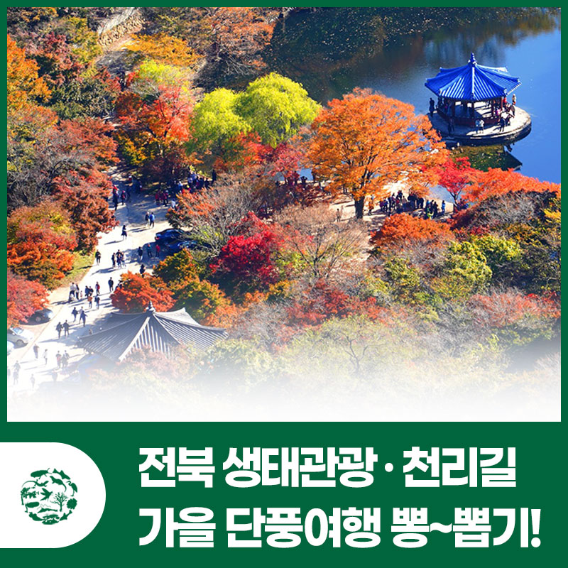 뽕뽑기 이미지