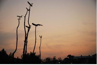 솟대 이미지