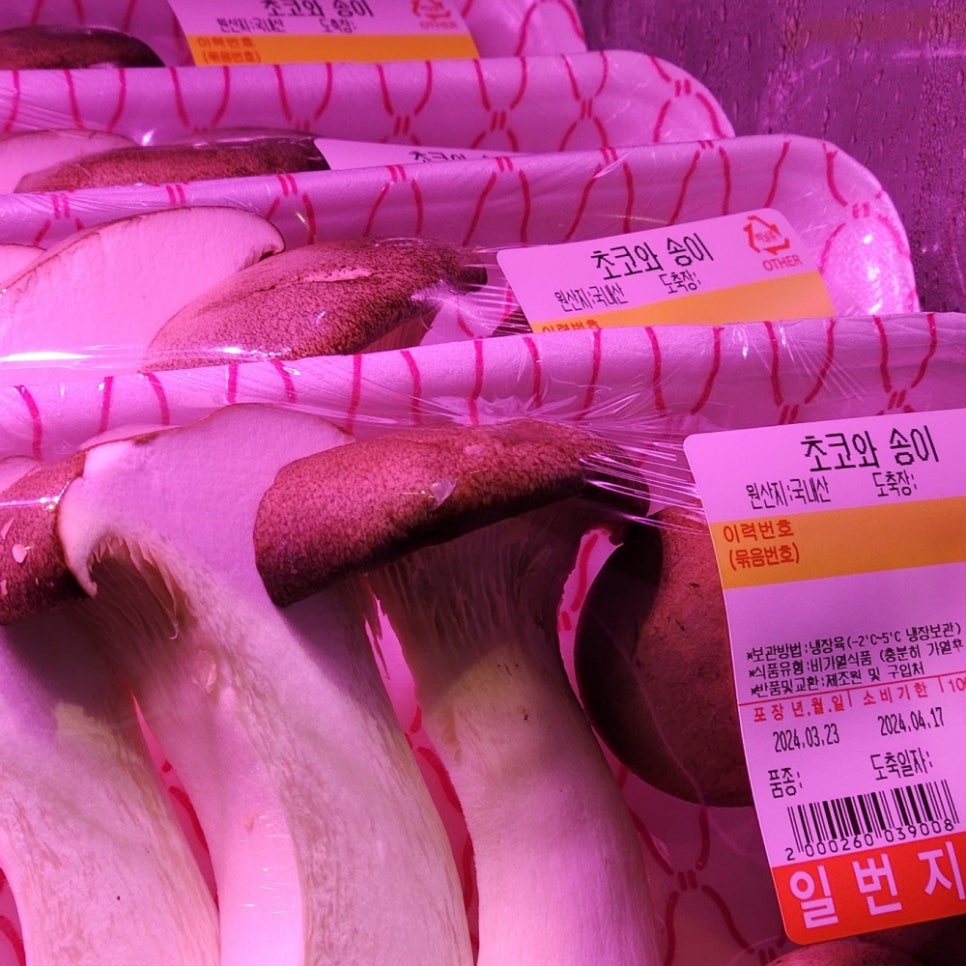 동창식육식당 이미지