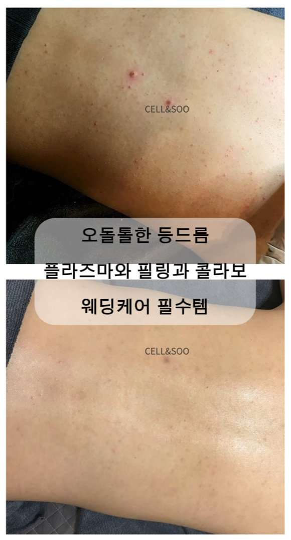 셀앤수 이미지