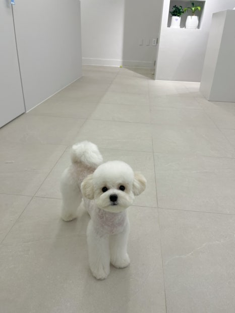 위드스테이부산 이미지
