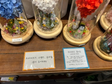 플로리움 이미지
