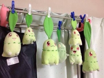 크린토피아코인워시성남 이미지