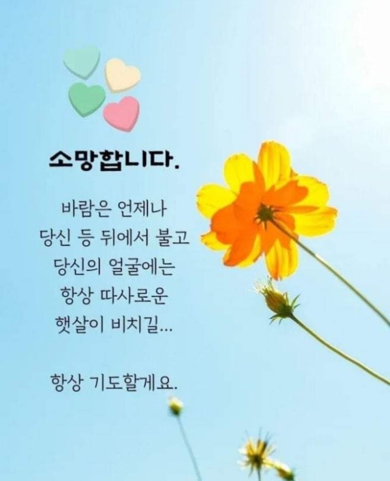 티파니모텔 이미지