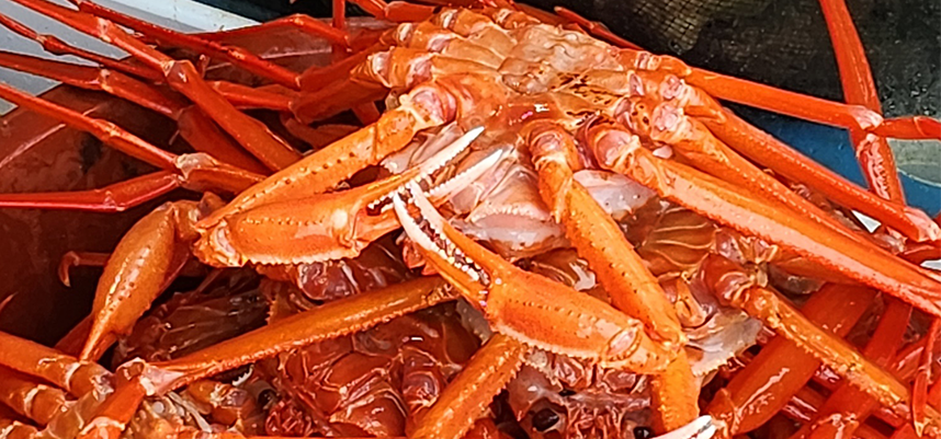 비호수산 이미지