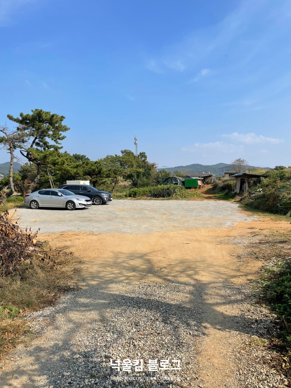 학성별장횟집 이미지