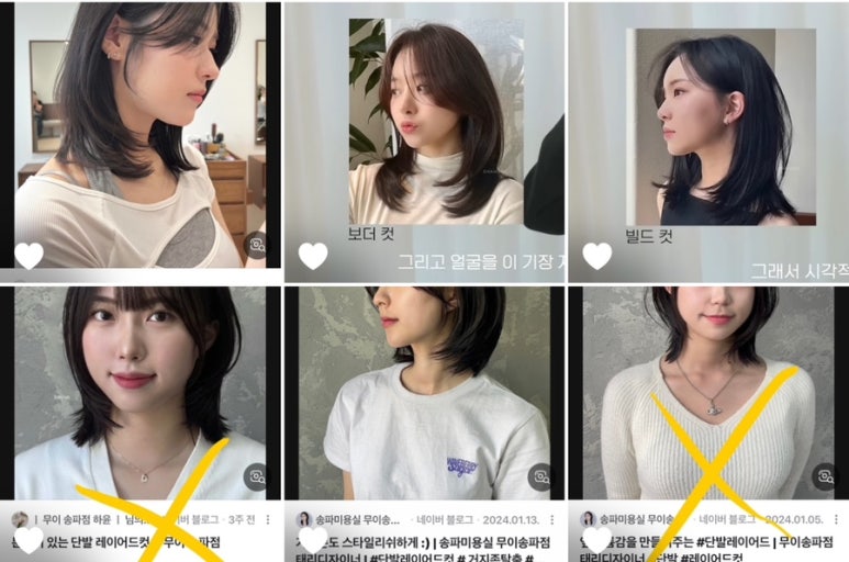 엘시크 이미지