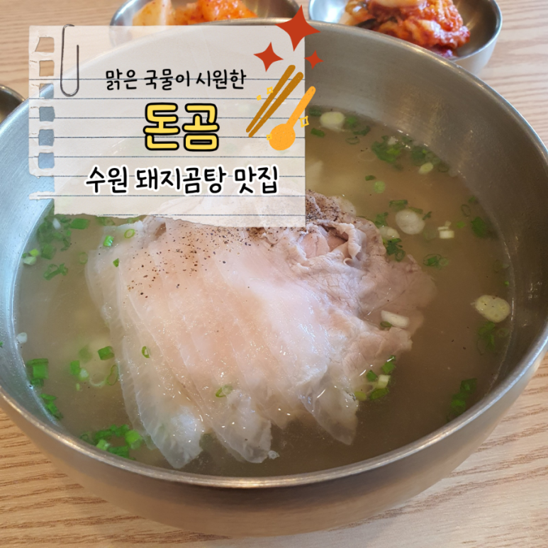 돈곰 이미지