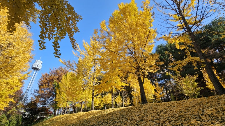 자하연치과 이미지