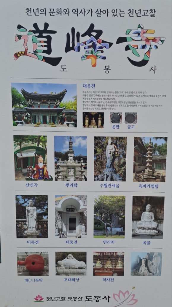 중앙지물장식 이미지