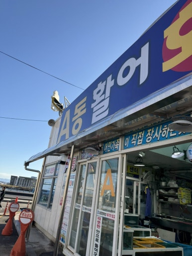 종일활어 이미지
