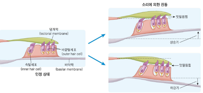막고막창 이미지