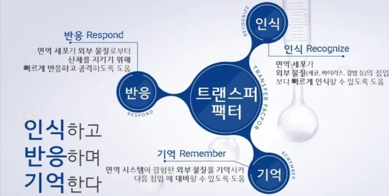 디에스 팩 이미지