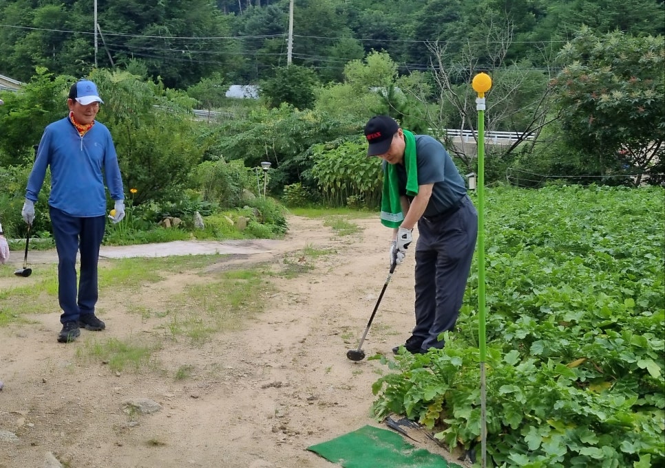 대한노인회관악구지회 이미지