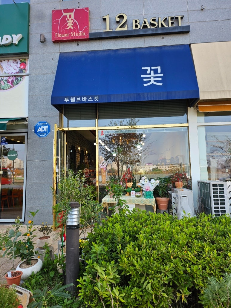 투웰브바스켓 이미지