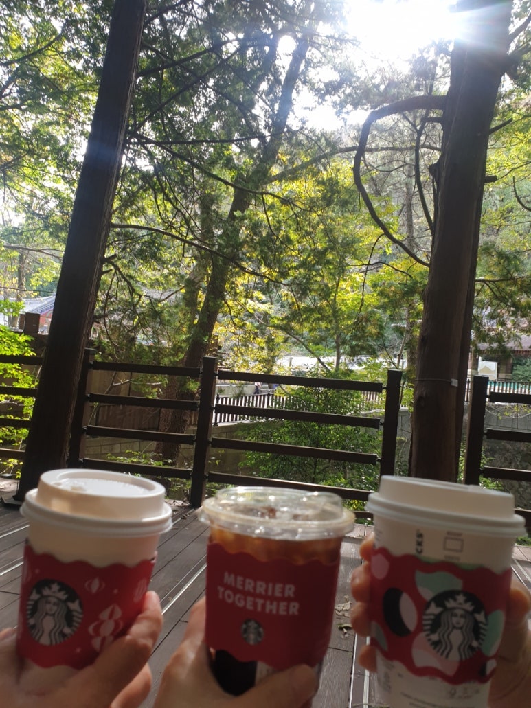 정경애코다리찜 이미지
