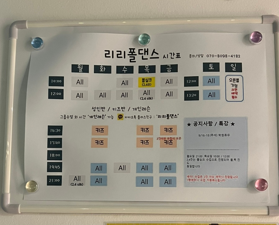 리리폴댄스 이미지