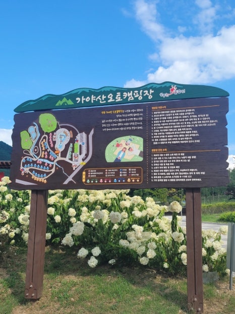 가야산오토캠핑장 이미지