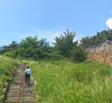 초록하다 이미지