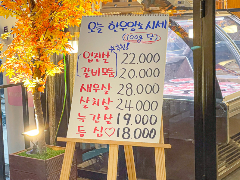 하누미 이미지