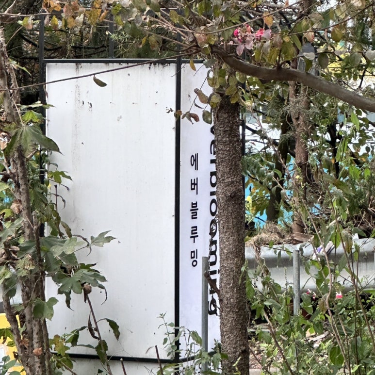 에버블루밍 이미지