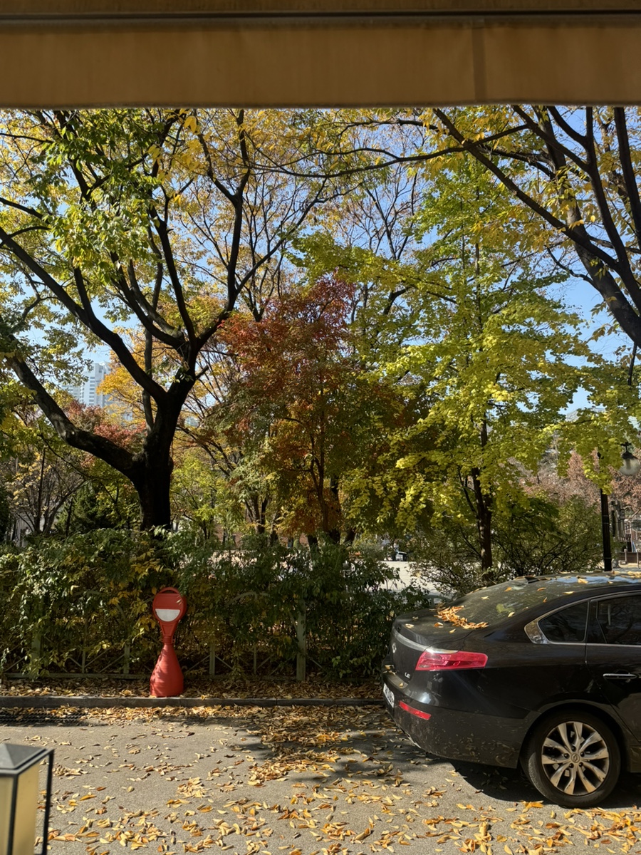 댓이즈커피 이미지