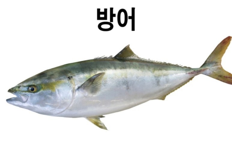 아리회직판장 이미지