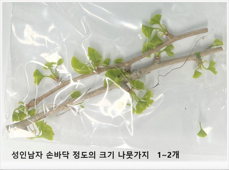 다우진유전자연구소 이미지