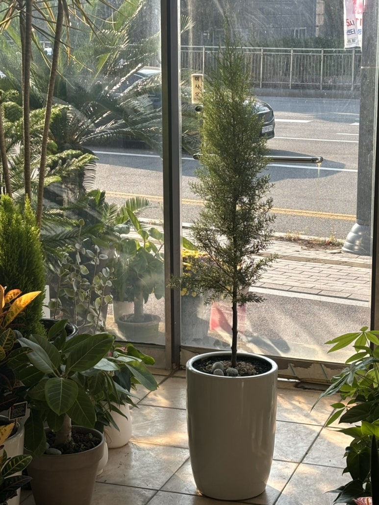 꽃바람화원 이미지