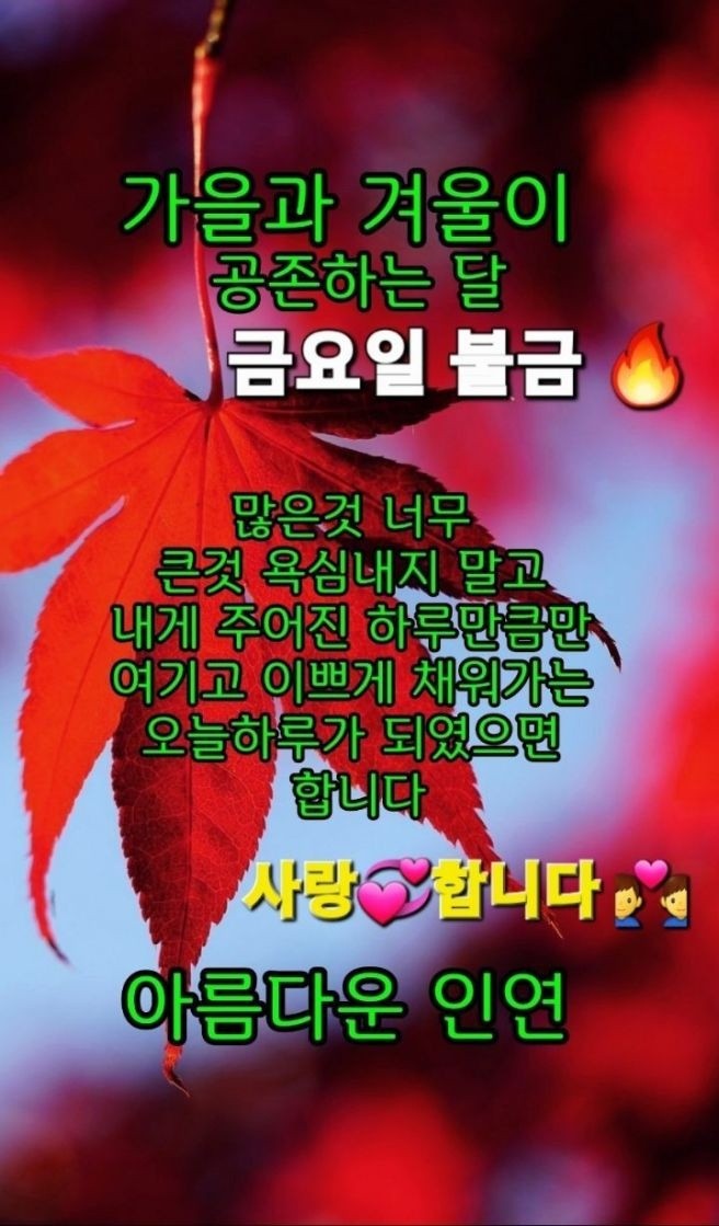 에이스종합관리 이미지