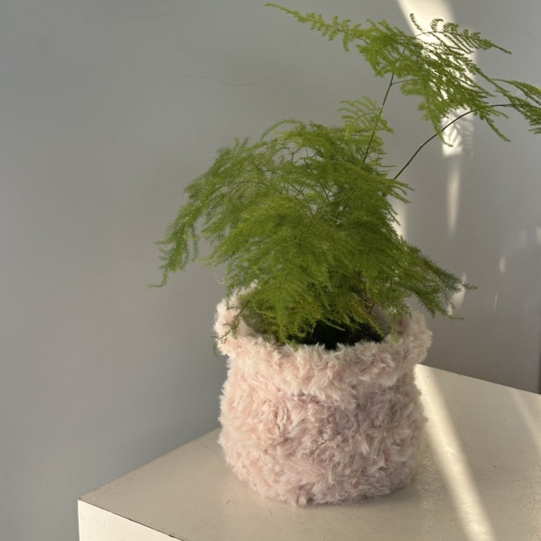 꽃바람화원 이미지