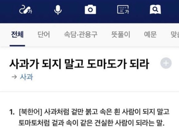 도마도마도 이미지