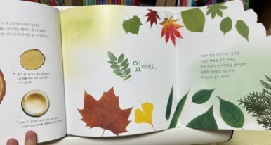 물친구 이미지