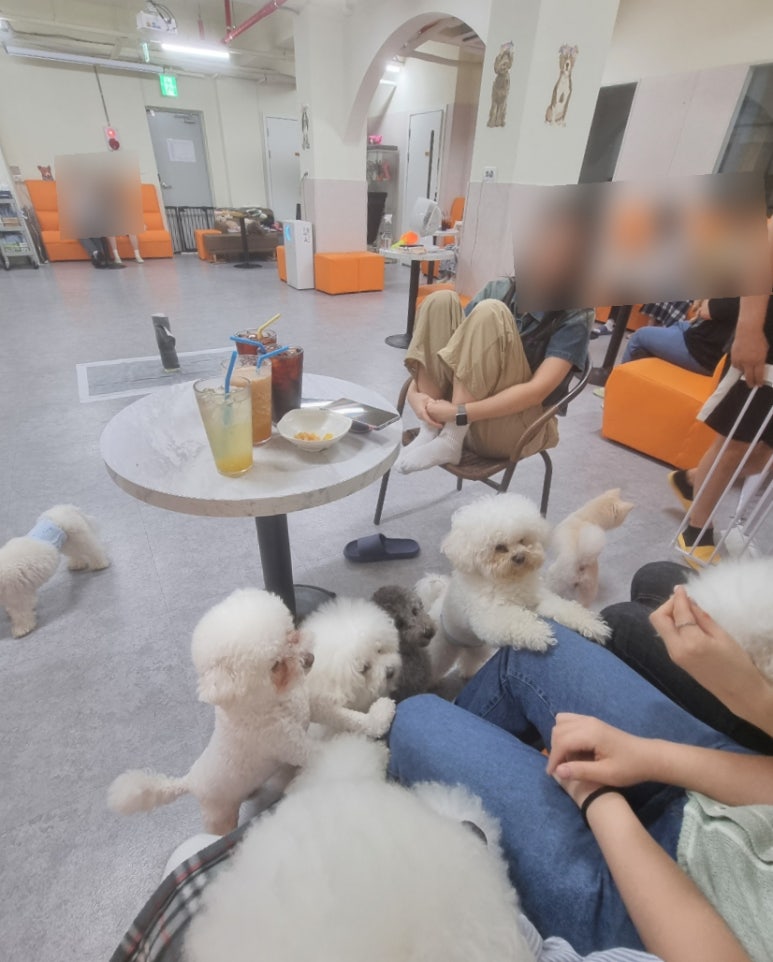 개랑 놀아주는 남자 이미지