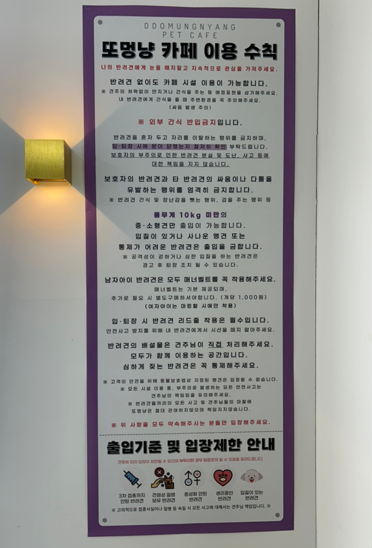 또멍냥 이미지