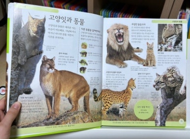 물친구 이미지