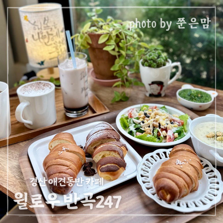 윌로우반곡247 이미지