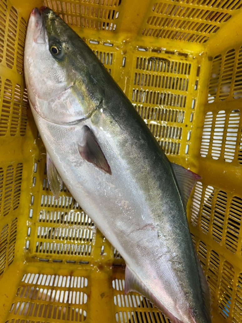 서희수산 이미지