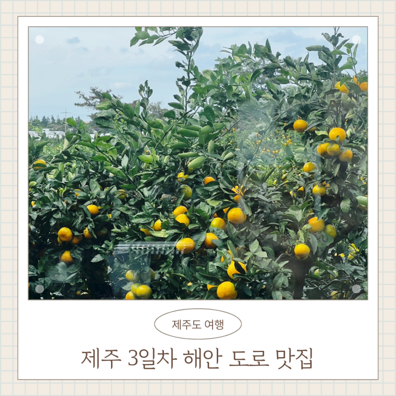 어기여차 저지점 사진 8