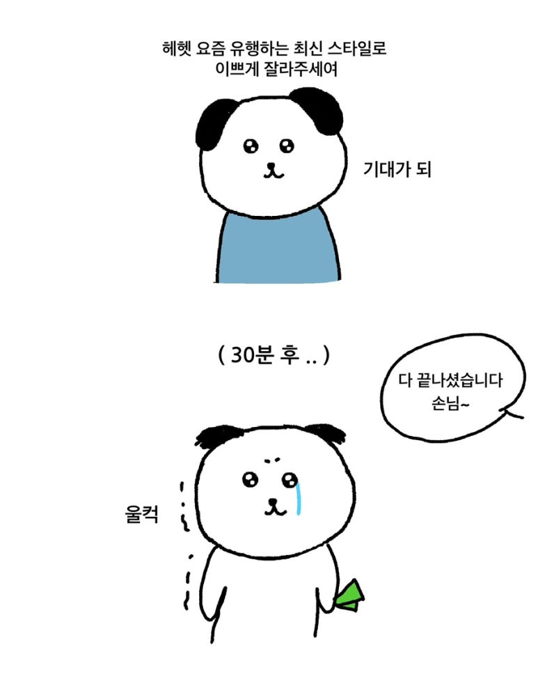 소애 이미지