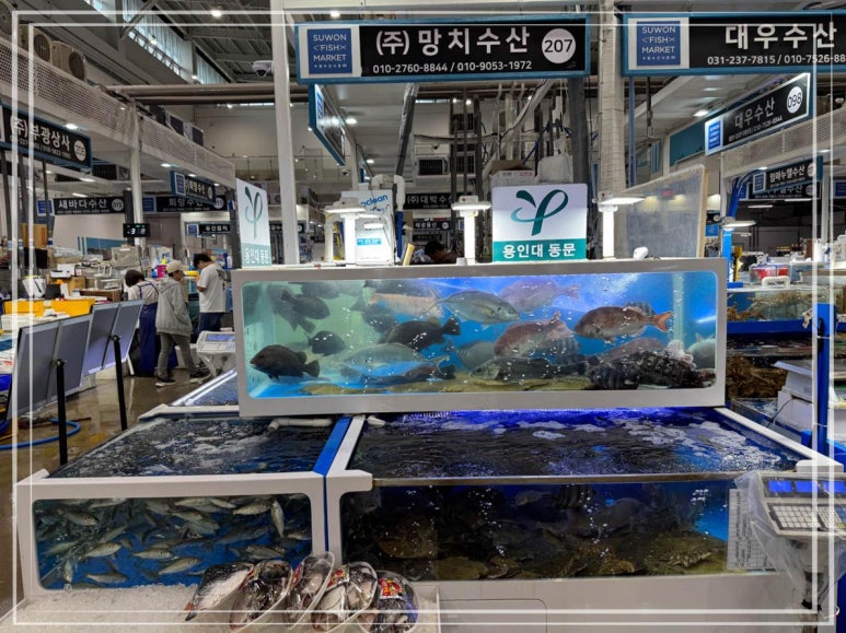 남수원수산 이미지